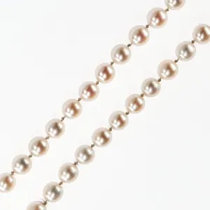 14K White Gold 6.0mm-6.9mm Round Freshwater Pearl Single Strand 16.5" Necklace