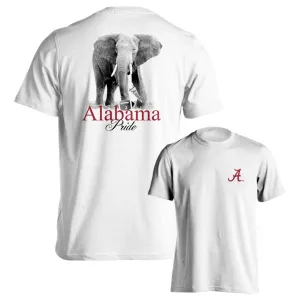 ALA Pride T Shirt