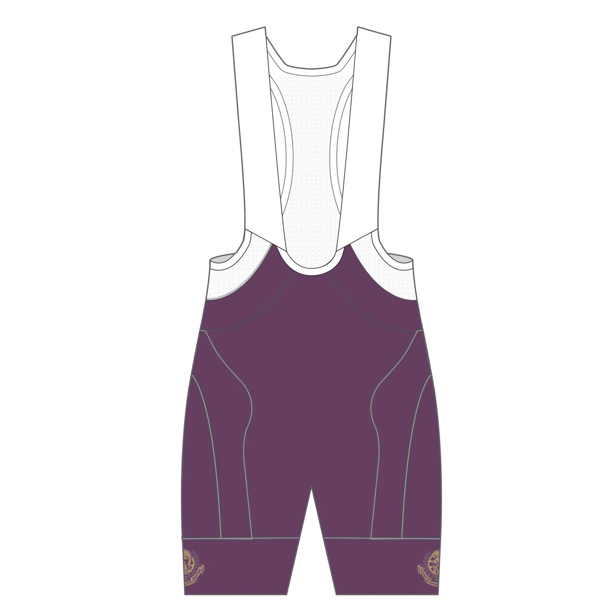 APEX  Pro Bib Shorts