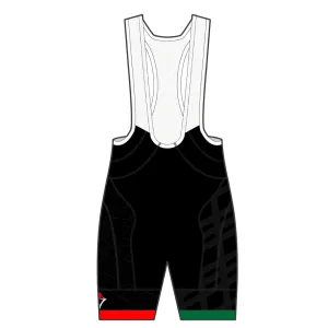 APEX  Pro Bib Shorts