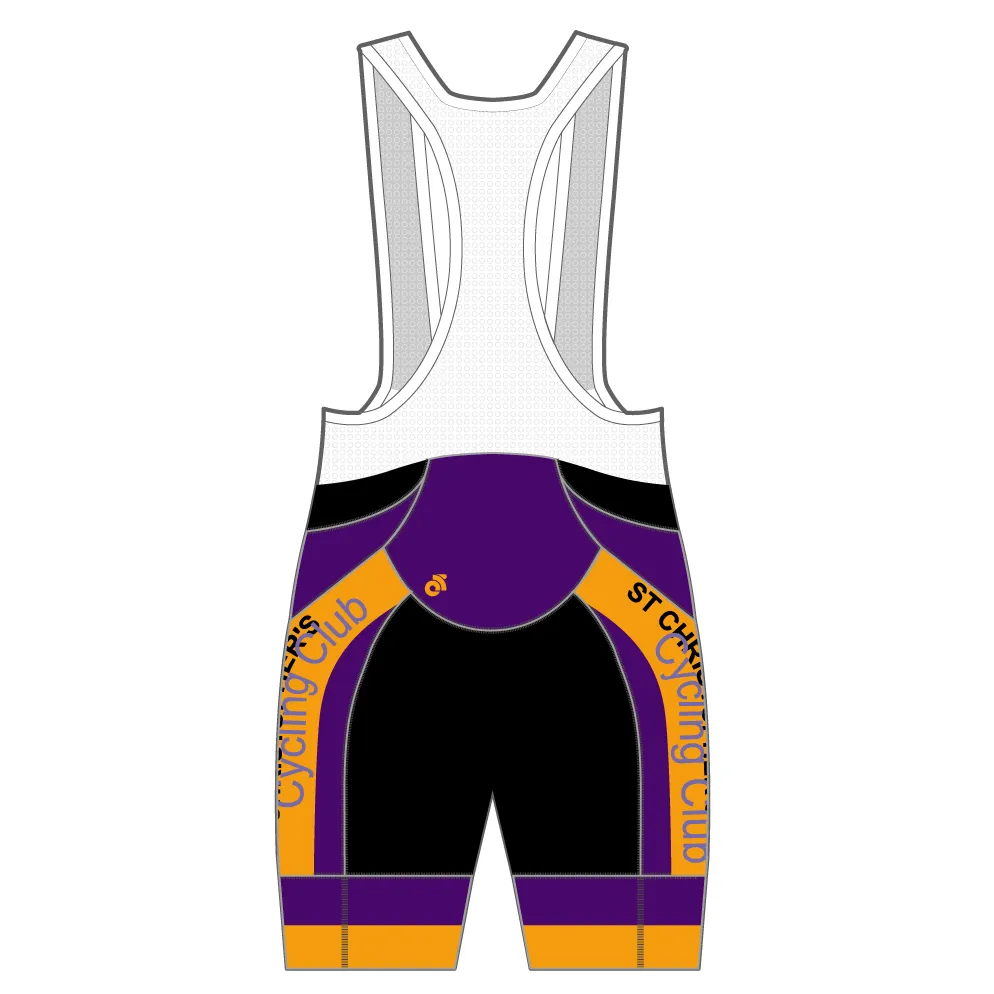 APEX  Pro Bib Shorts