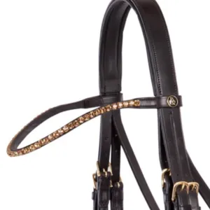 BR elegant curved gold browband on brown leather