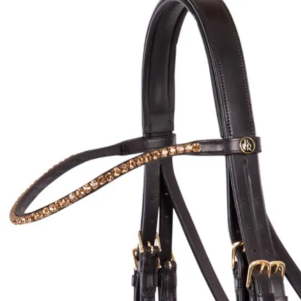 BR elegant curved gold browband on brown leather
