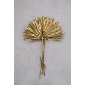 DRIED SUN CUT PALM BUNCH