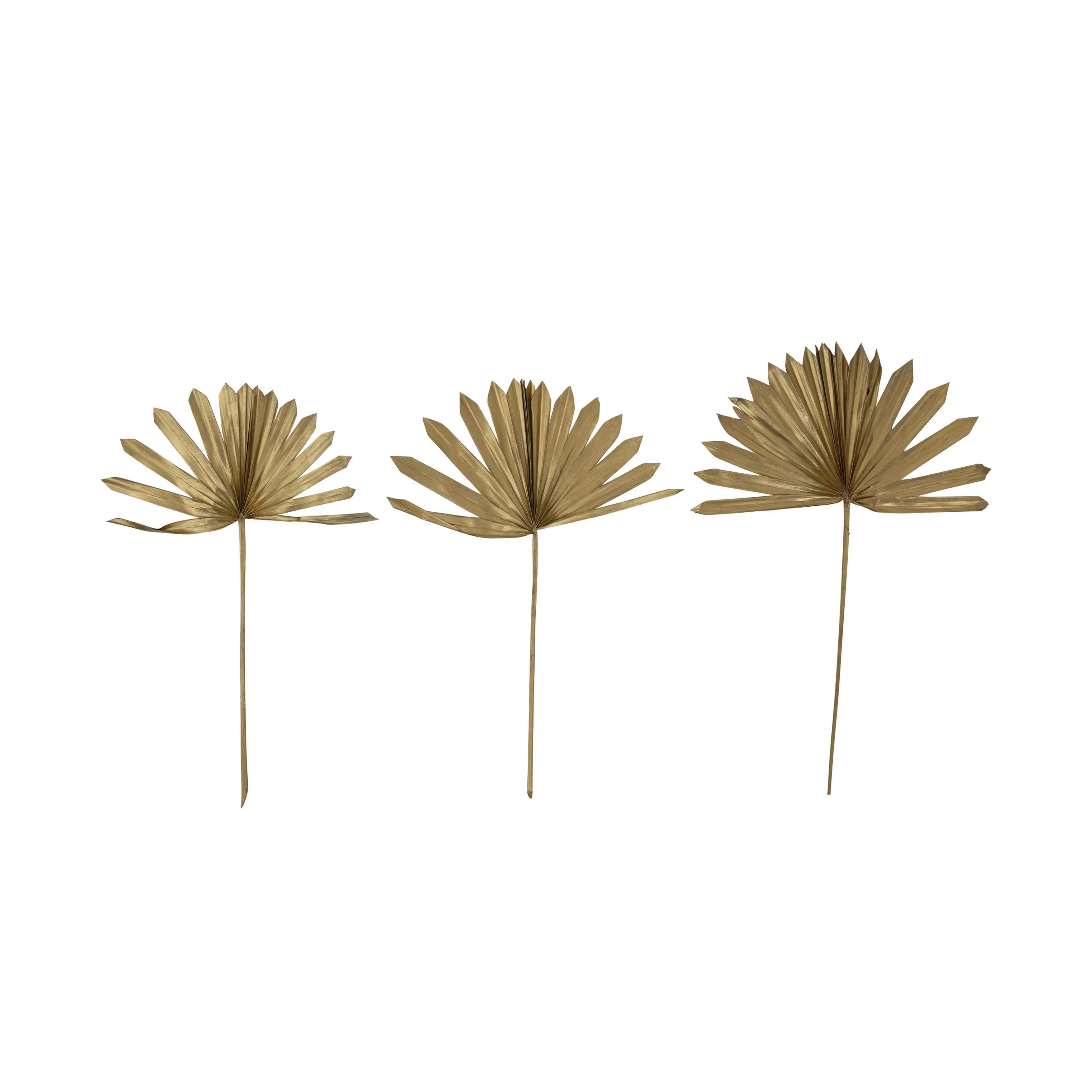 DRIED SUN CUT PALM BUNCH