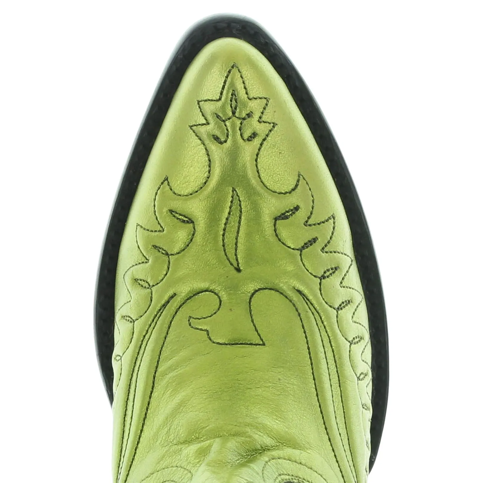 EAGLE SPONGE COLLAR