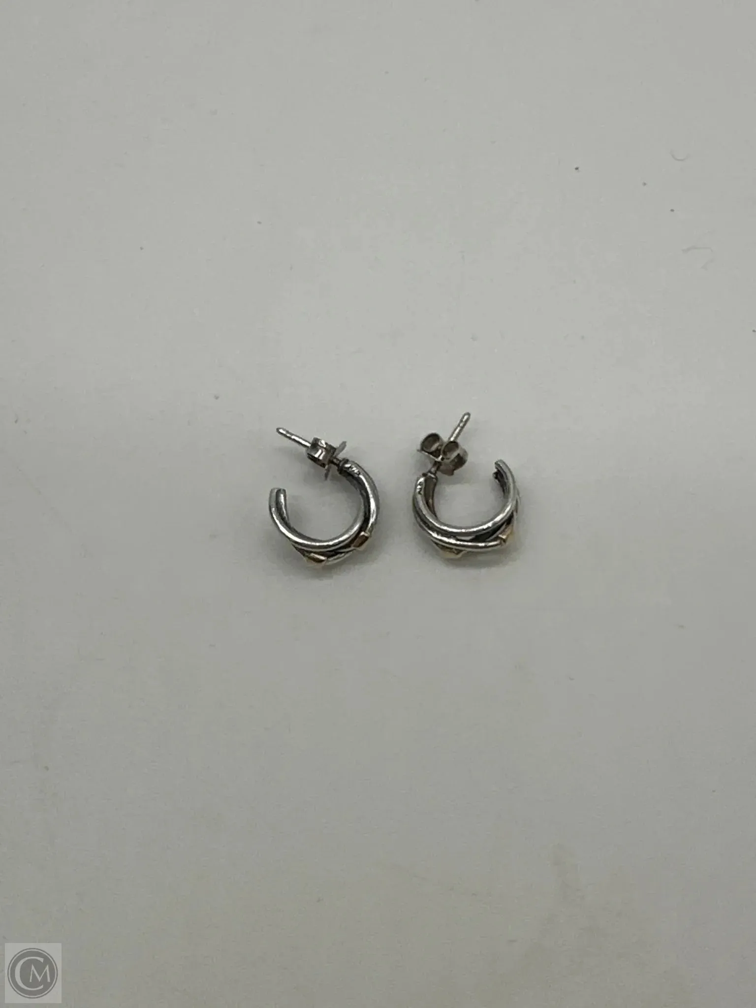 Earrings Hoop By Pandora