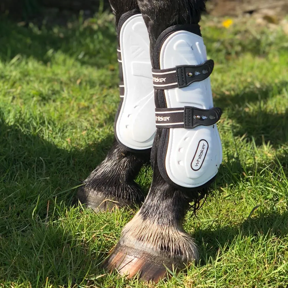 John Whitaker Bingley Competition Tendon Boot Set