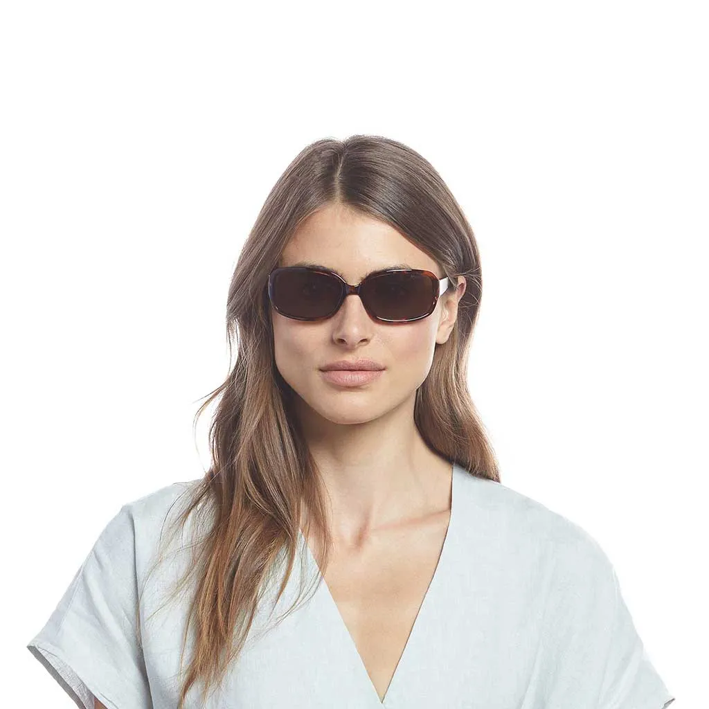 Mcpherson Sunglasses