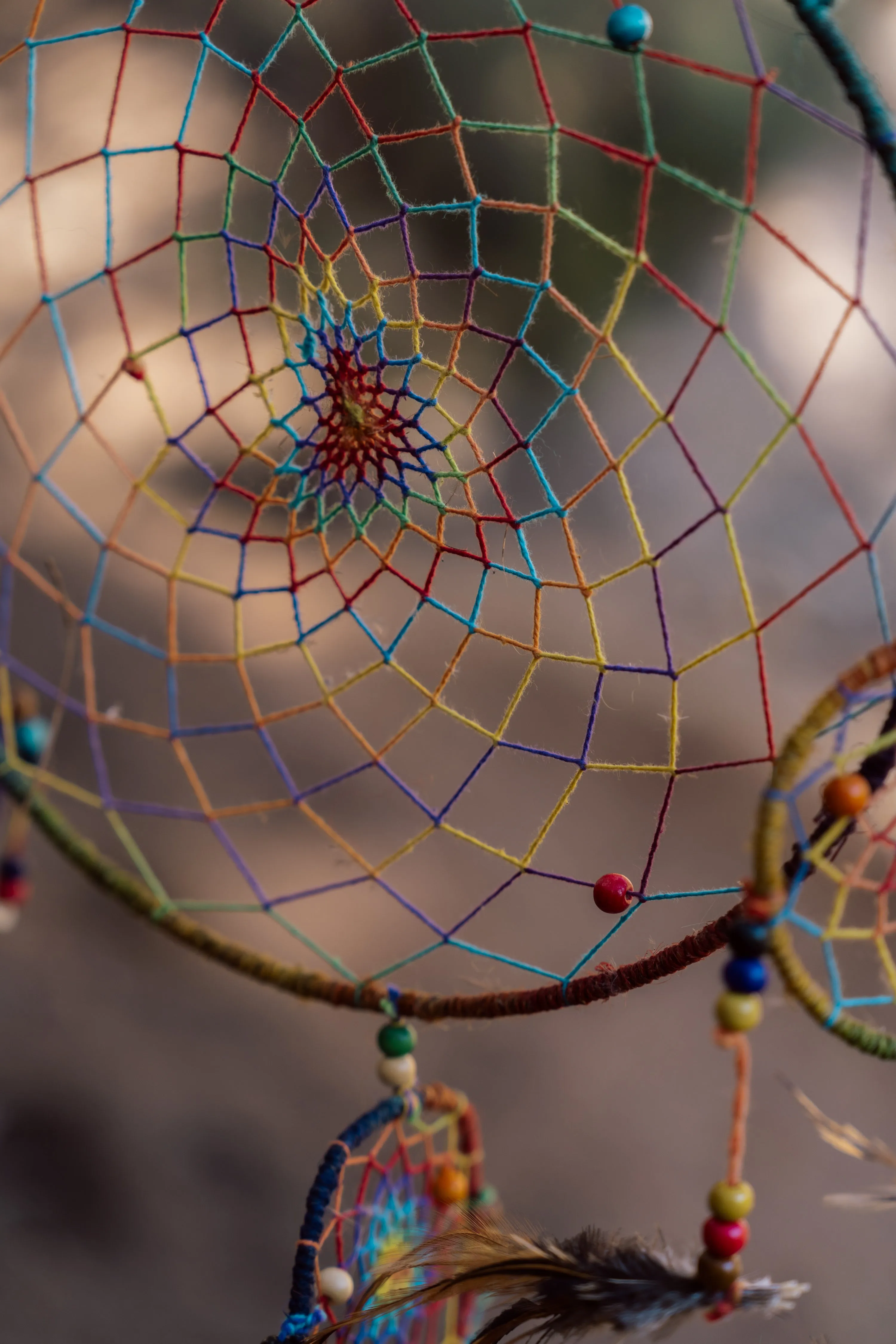 Nature’s Embrace Dream Catcher