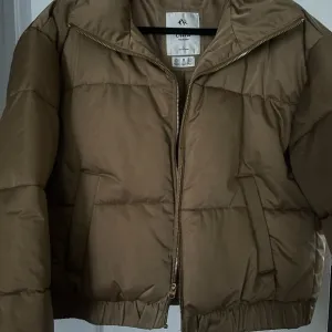 Olive Collection Puffer Jacket - Women's Large, Taupe, Zip-Up