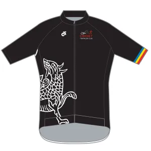 PERFORMANCE  Jersey Long Sleeve