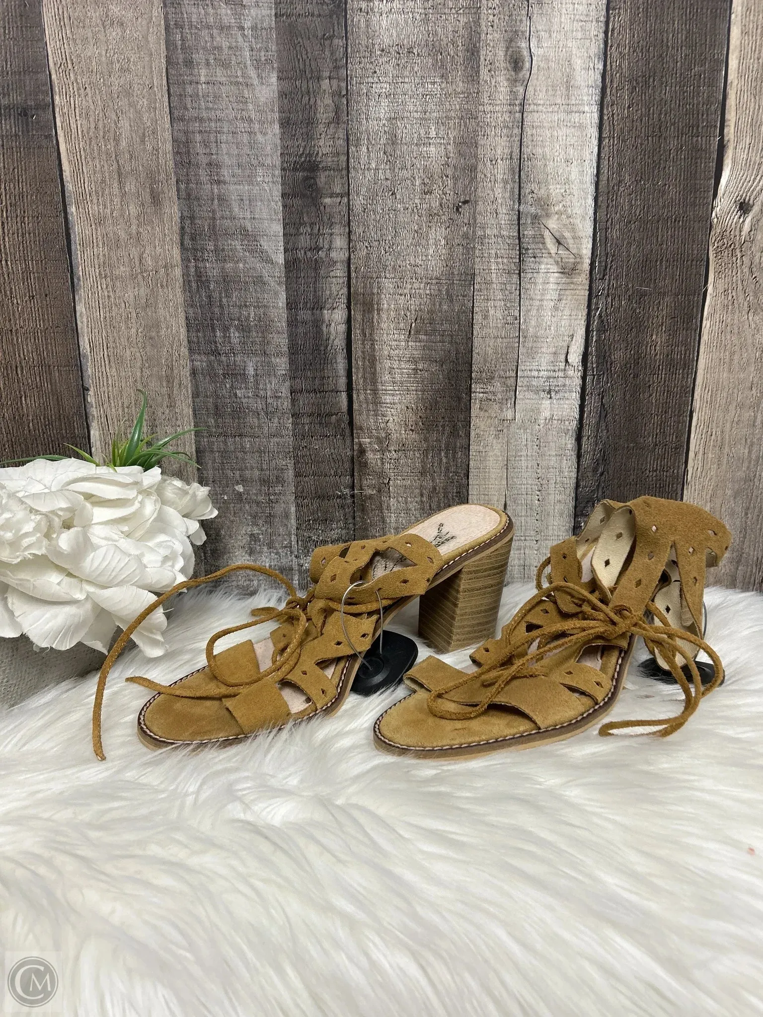 Sandals Designer By Coach In Brown, Size: 11