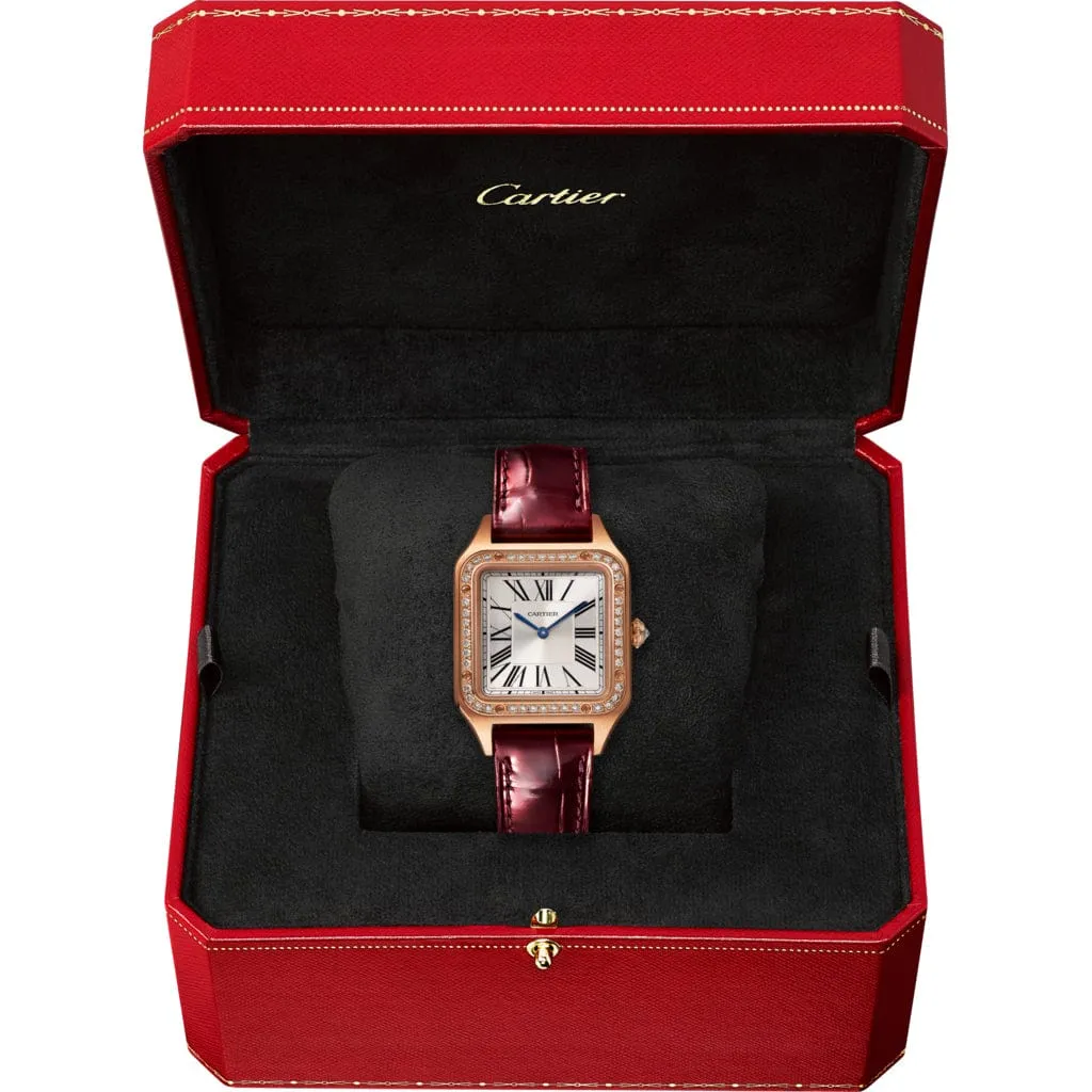 Santos-Dumont watch WJSA0017