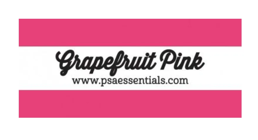 Self-Inking Rectangle Stamper Inks