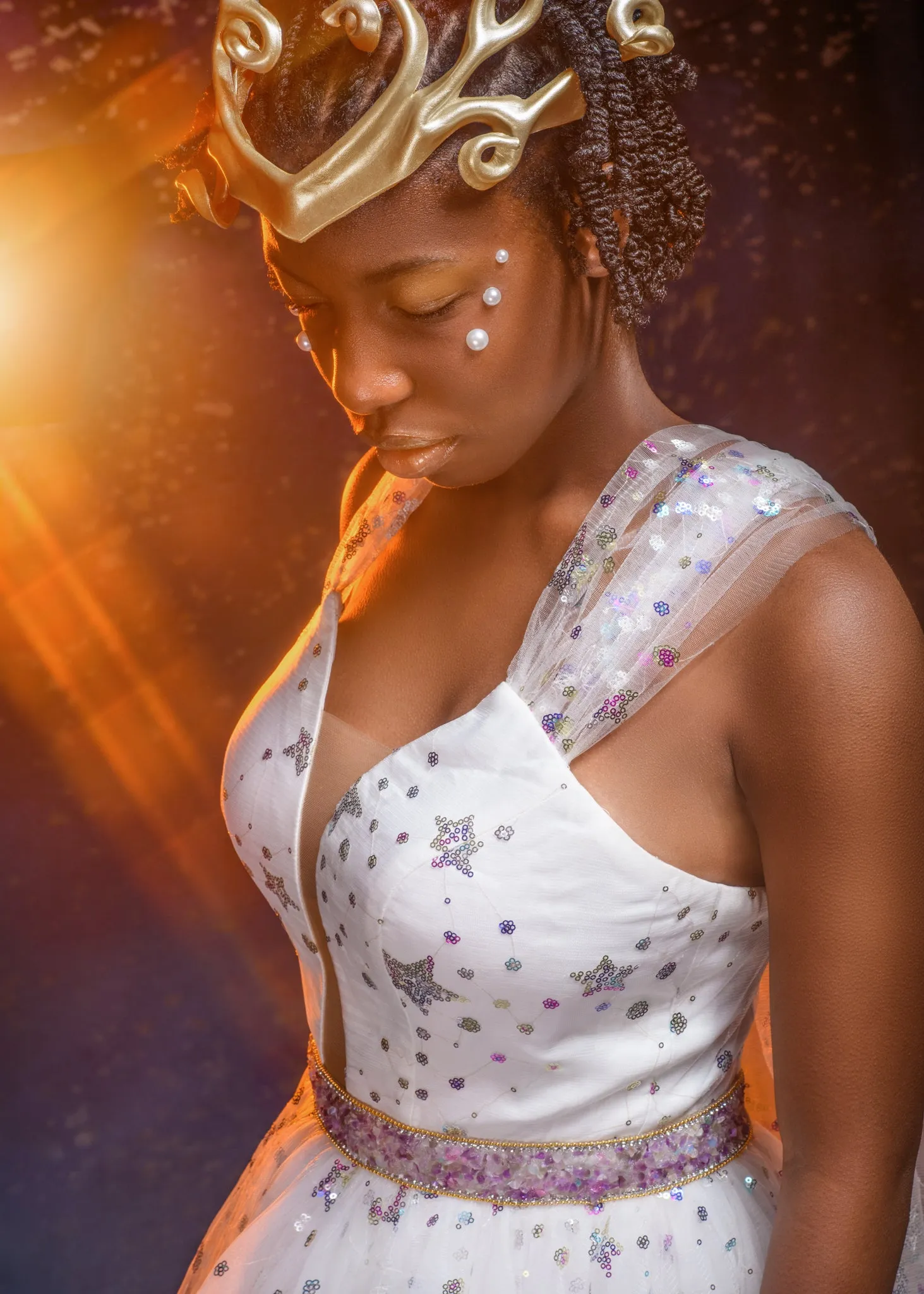 The Zodiac Collection - Gemini