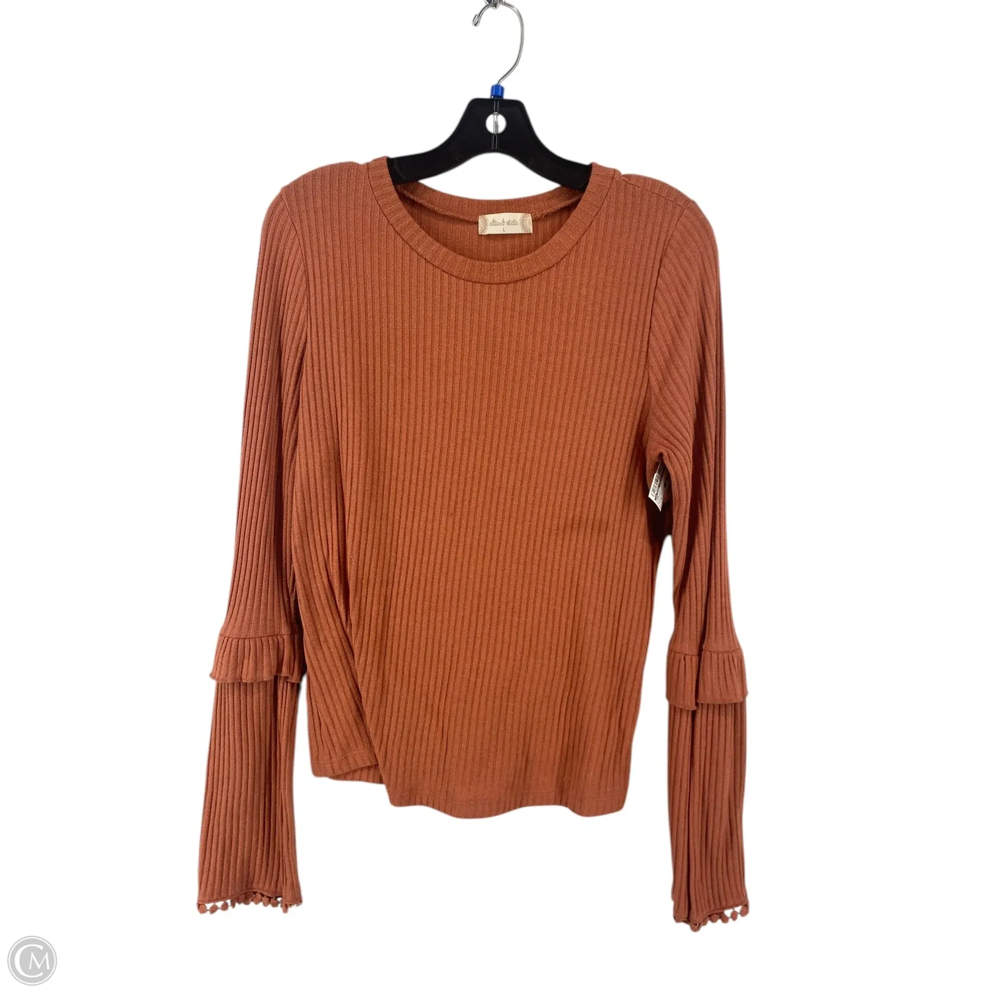 Top Long Sleeve By Altard State In Orange, Size: L