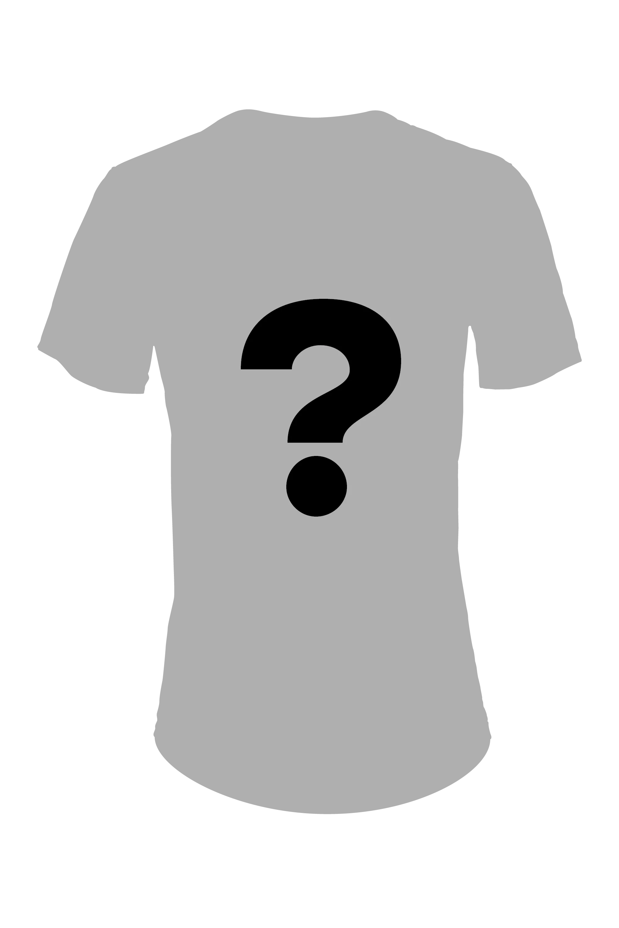 Women's Graphic Traverse Tek Tee
